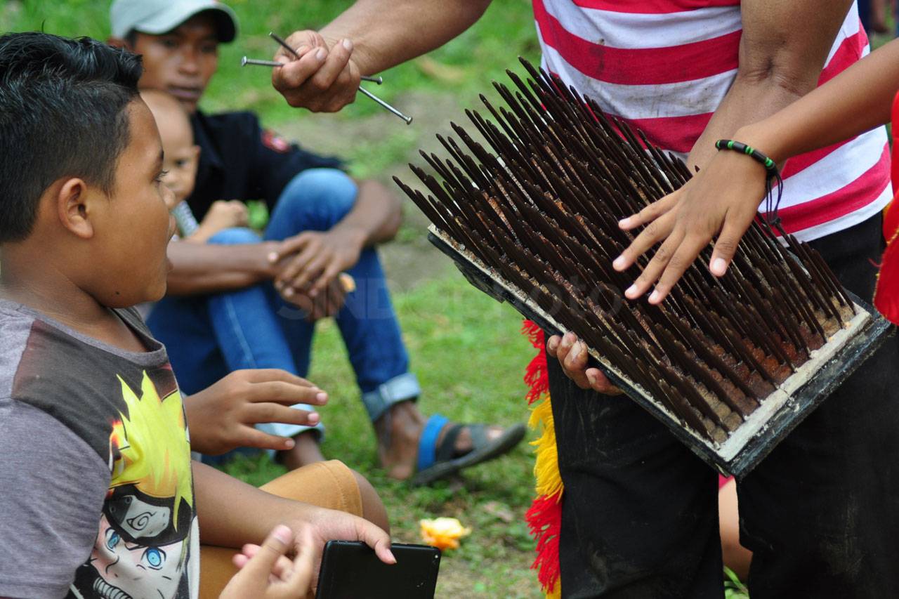 Jathilan dan Reog Meriahkan...