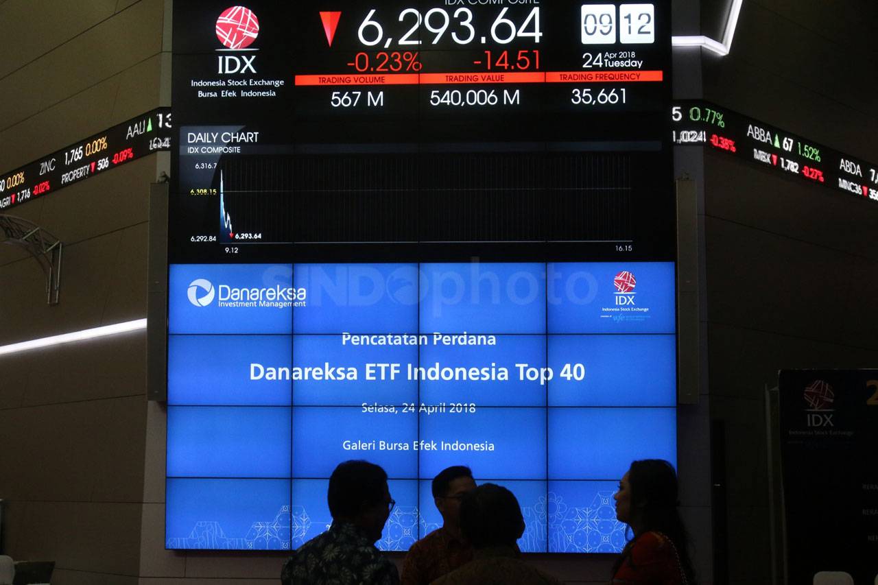 Danareksa Investment...