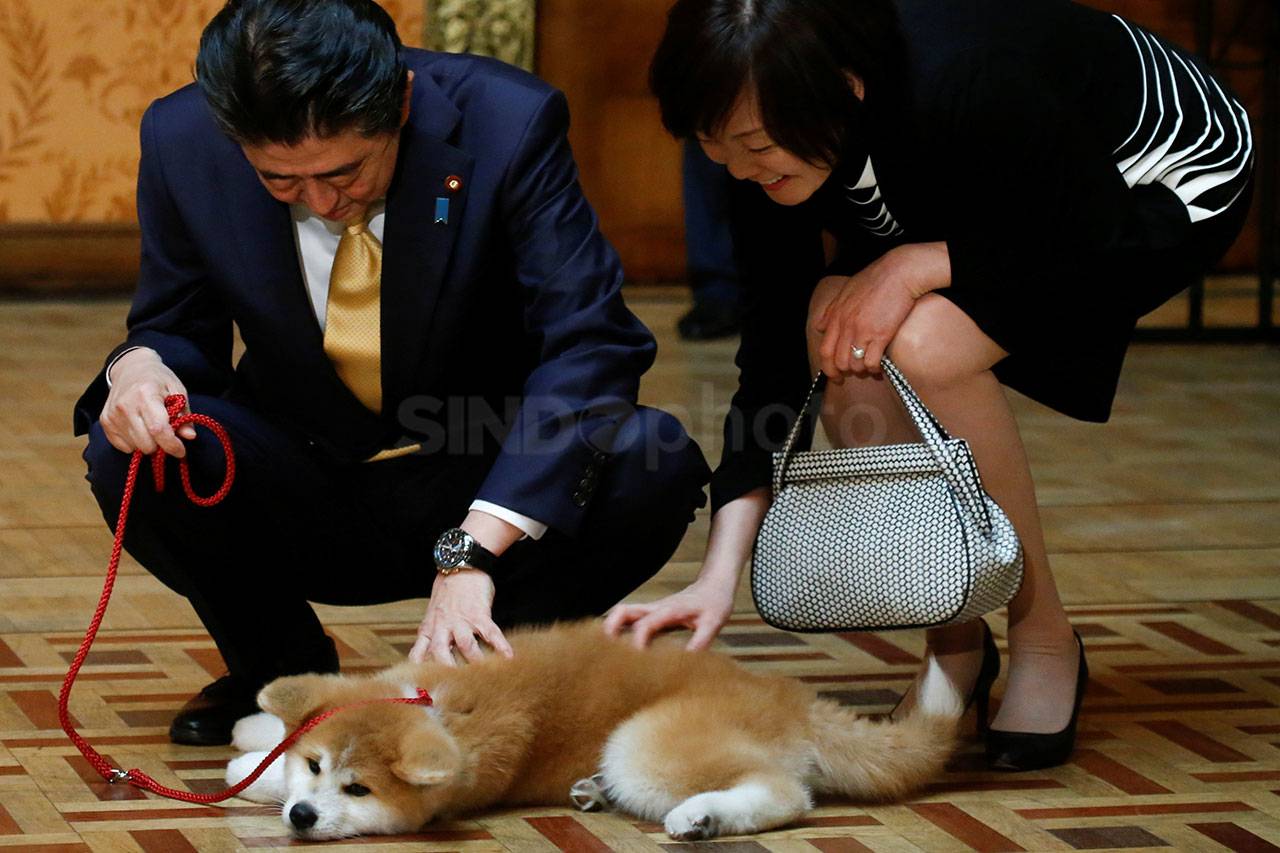 PM Jepang Shinzo Abe...