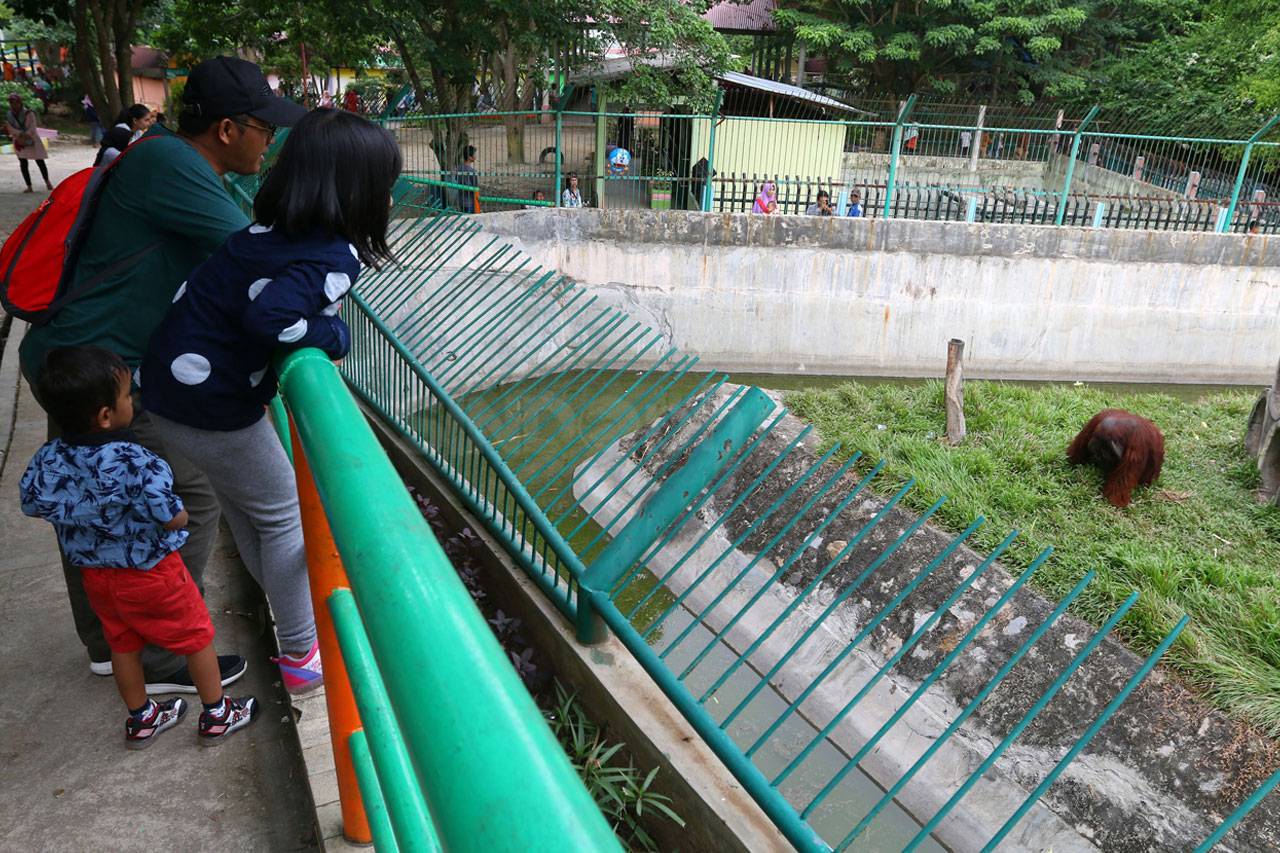 Wisata Air Di Kebun...