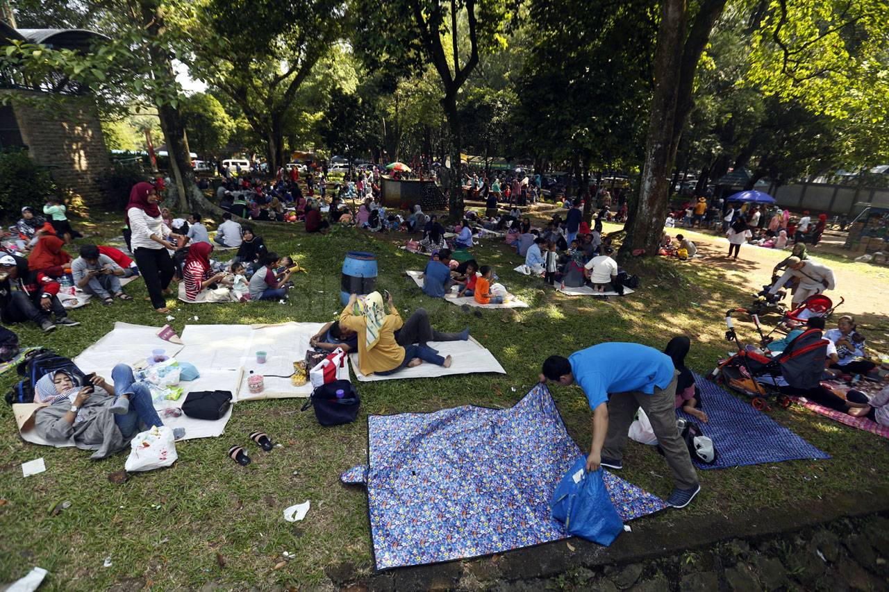 Taman Margasatwa Ragunan...