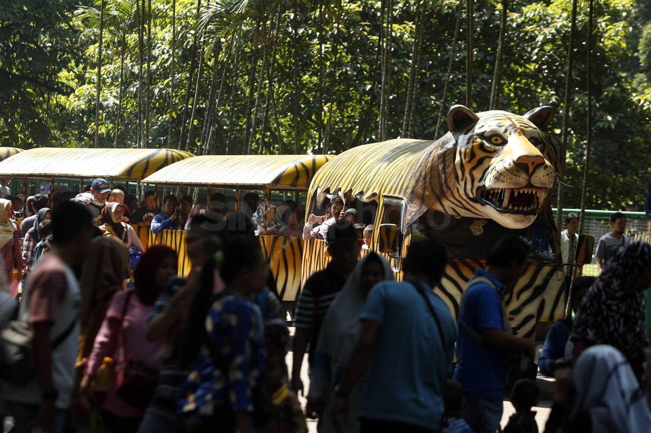 Taman Margasatwa Ragunan...