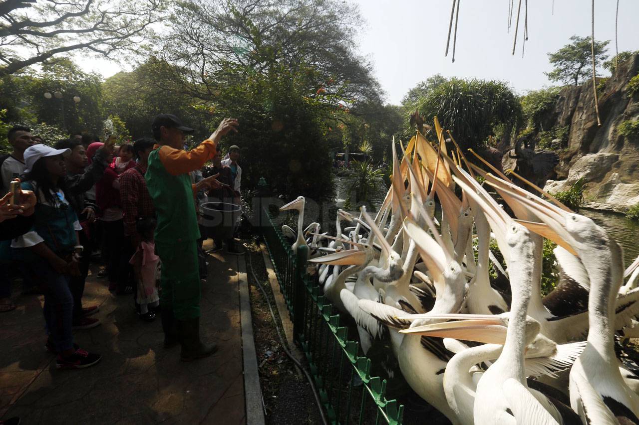 Taman Margasatwa Ragunan...