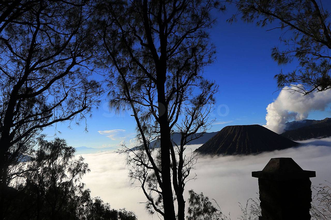 Bromo Terus Dipadati...