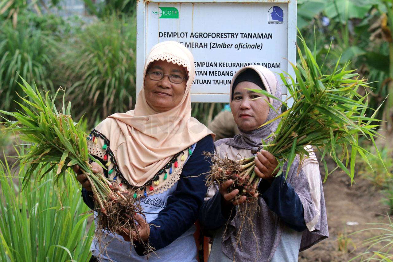 Kelompok Perempuan Dumai...
