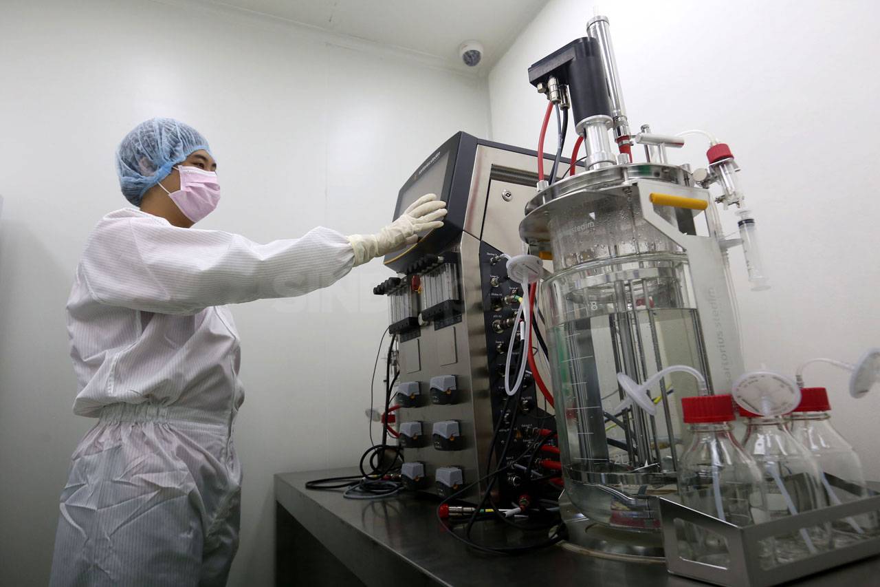 Kembangkang Stem Cell,...