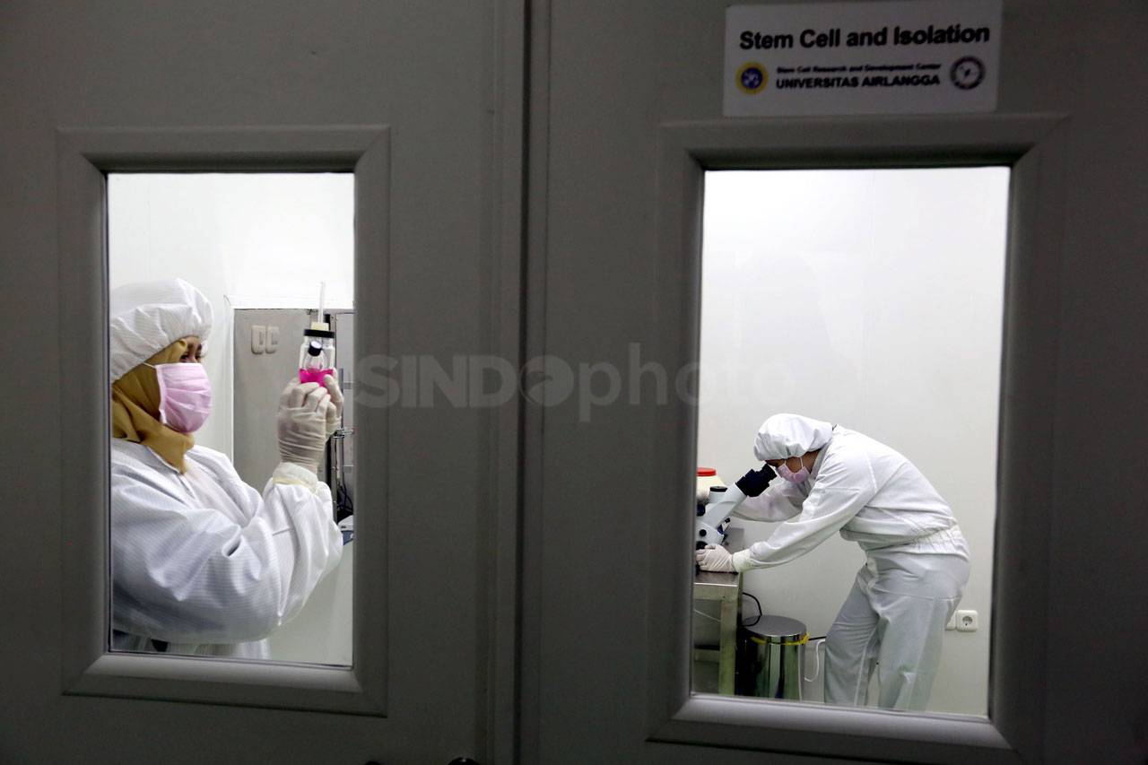 Kembangkang Stem Cell,...