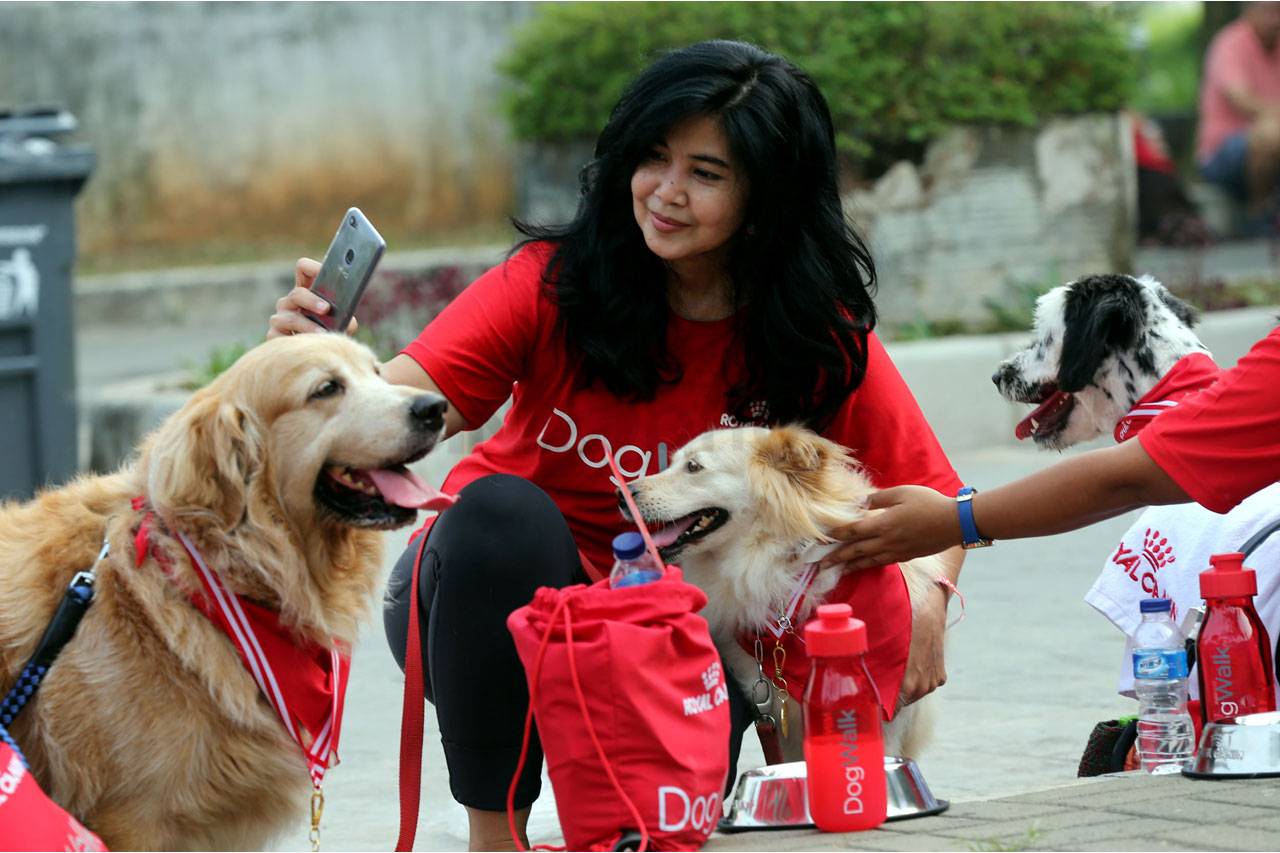 Jalan Santai Royal Canin...