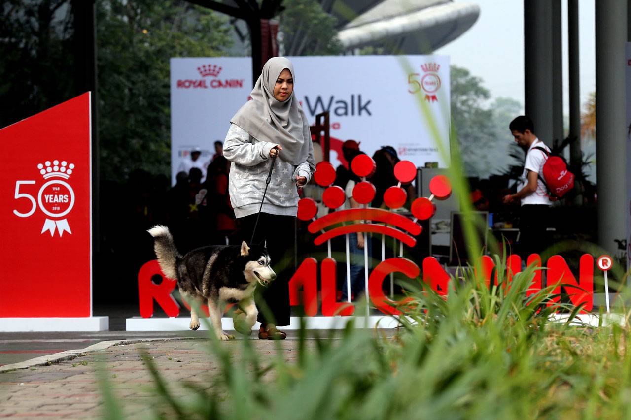 Jalan Santai Royal Canin...