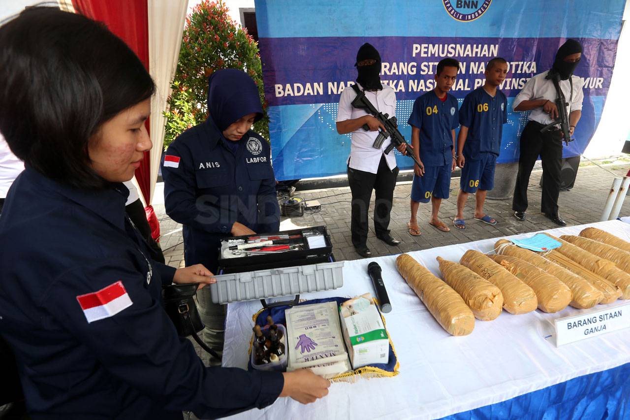 BNNP Jawa Timur Musnahkan...