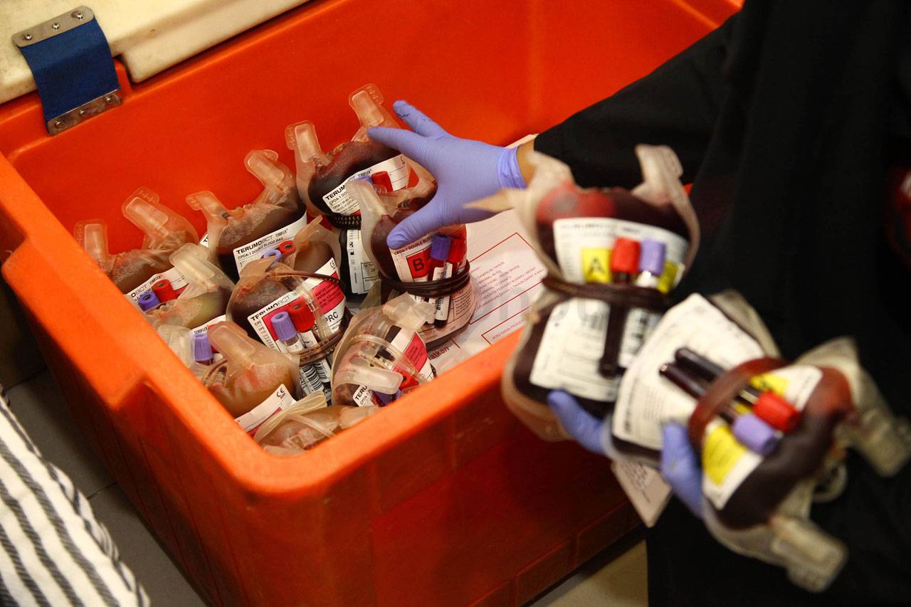 MNC Group Gelar Donor...