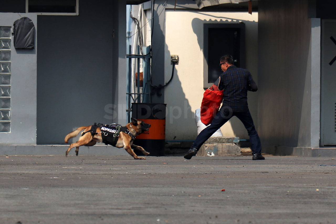 Panglima TNI Tutup Latihan...