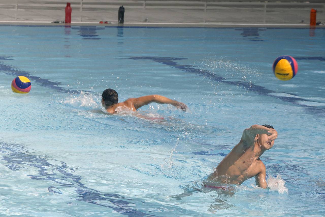 Persiapan Atlet Polo...