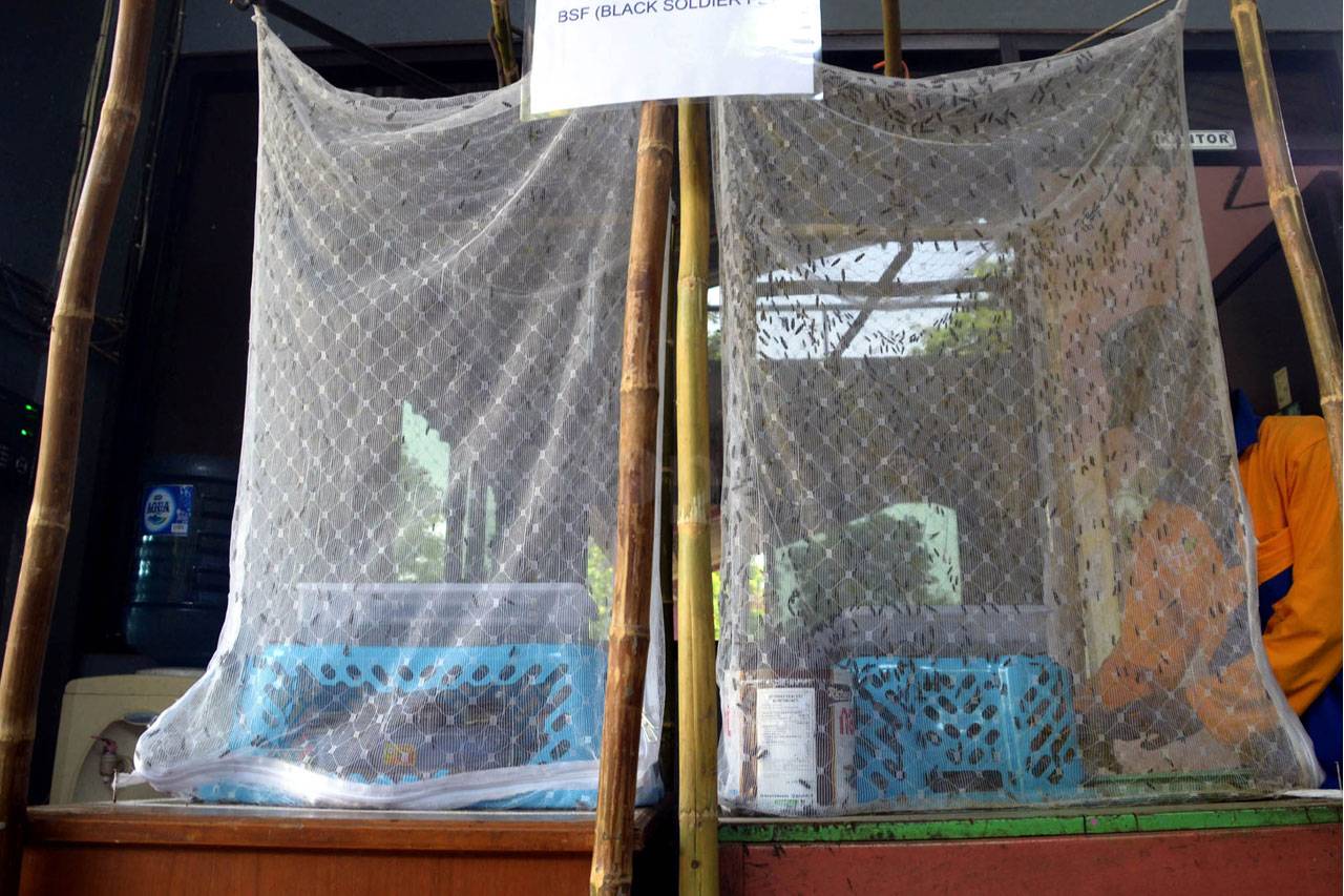Surabaya Terapkan Pengolahan...