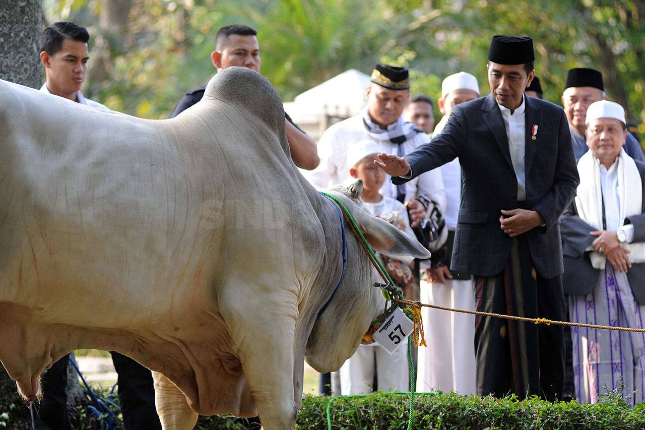 Presiden Jokowi Salat...