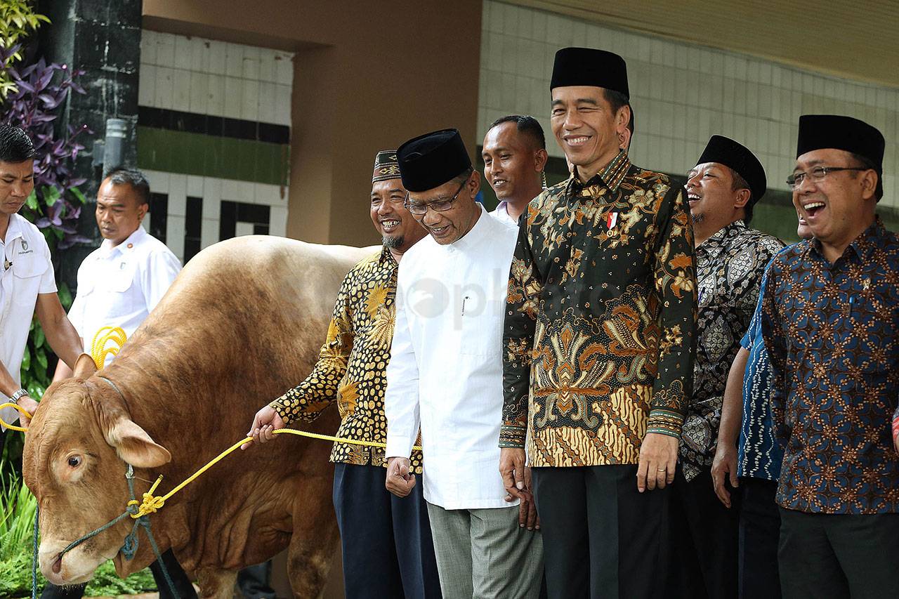 Presiden Jokowi Serahkan...