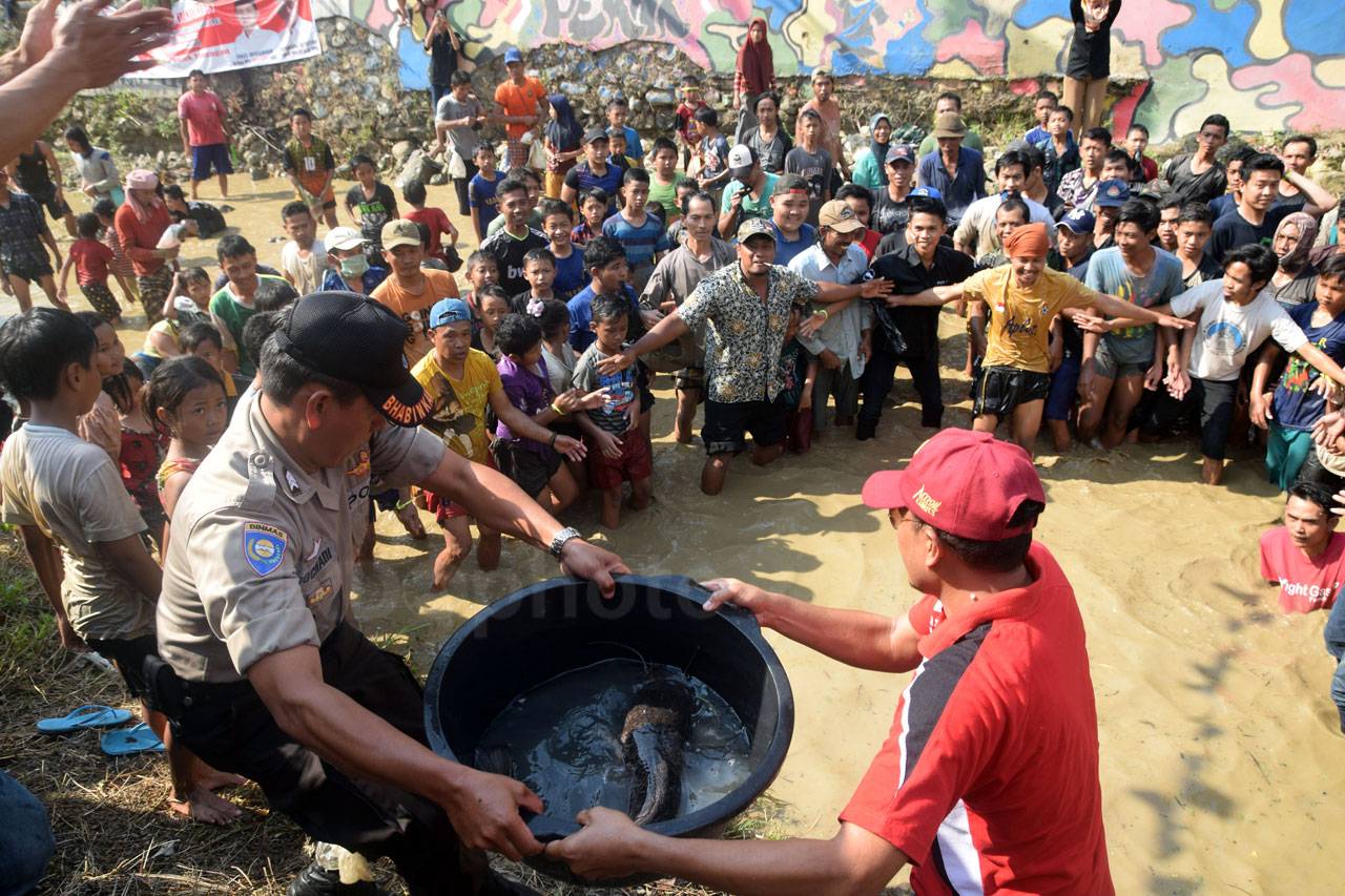 Tradisi Bedah Bendungan...