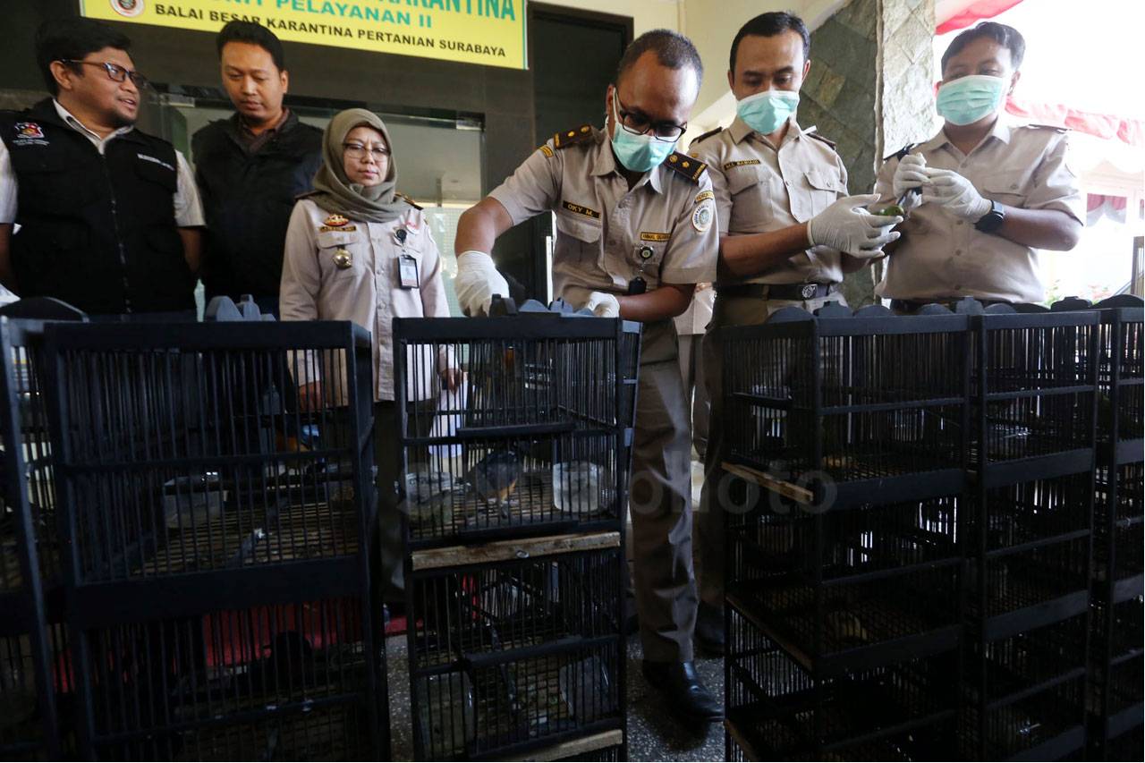 BBKP Surabaya Gagalkan...