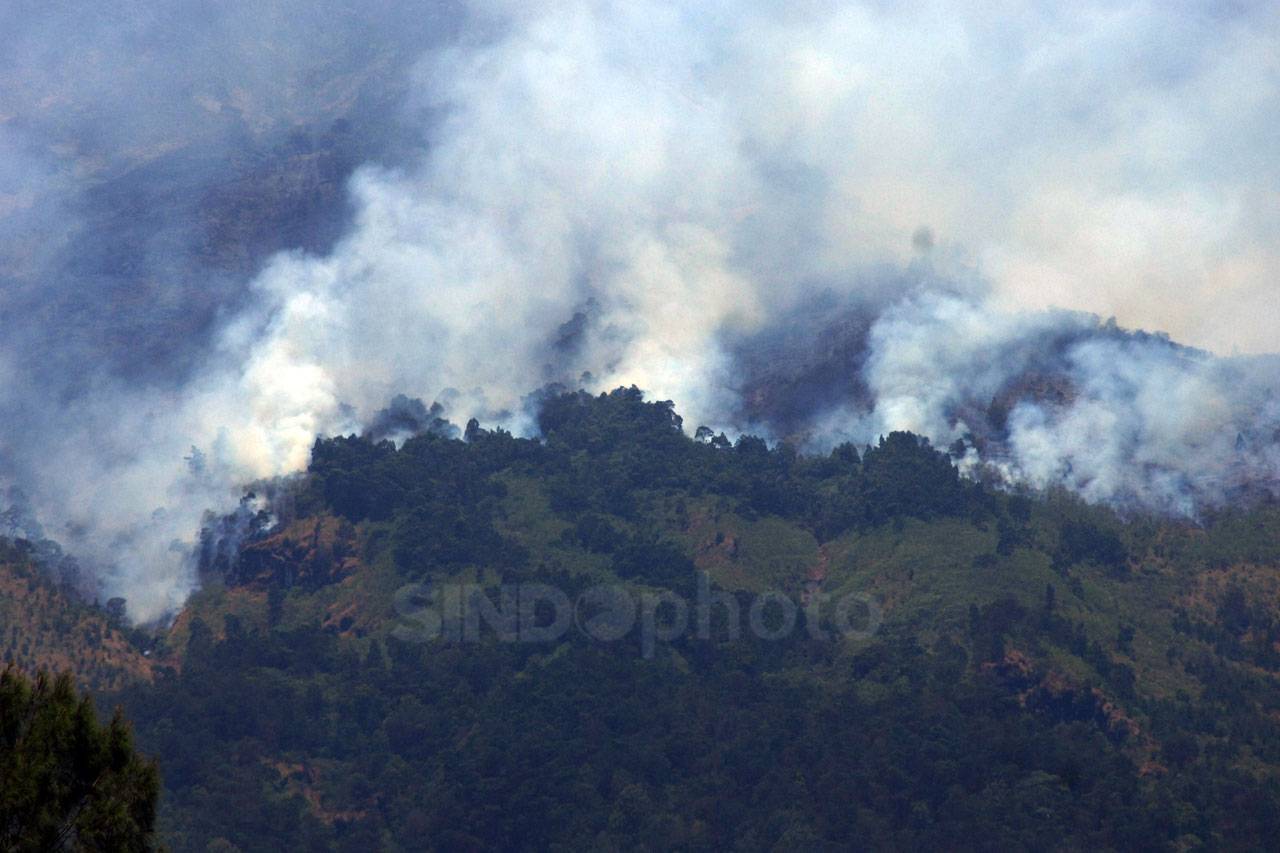 Kebakaran Hutan Gunung...