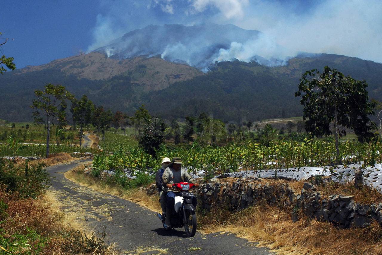 Kebakaran Hutan Gunung...