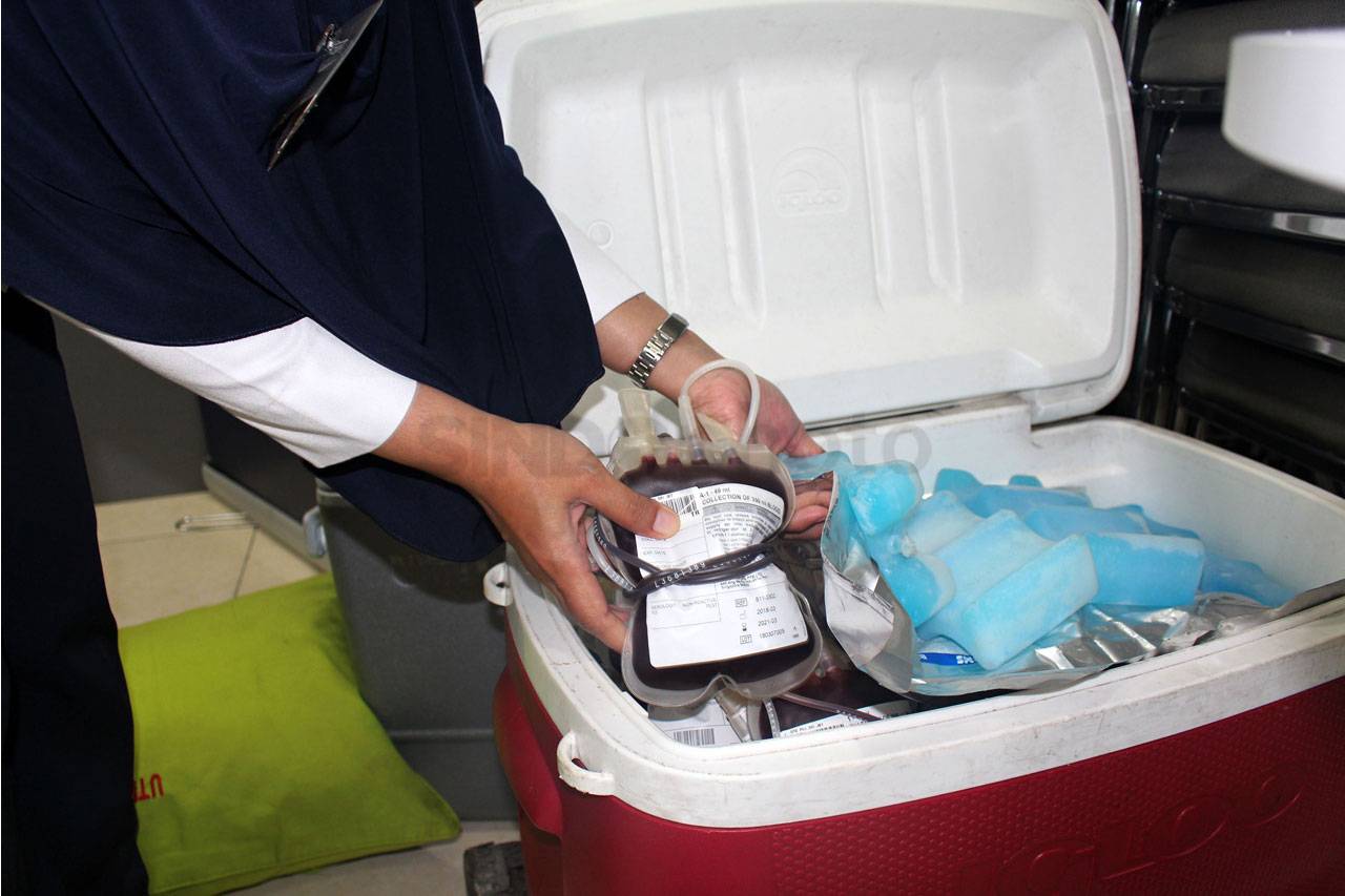 Qnet Gelar Donor Darah