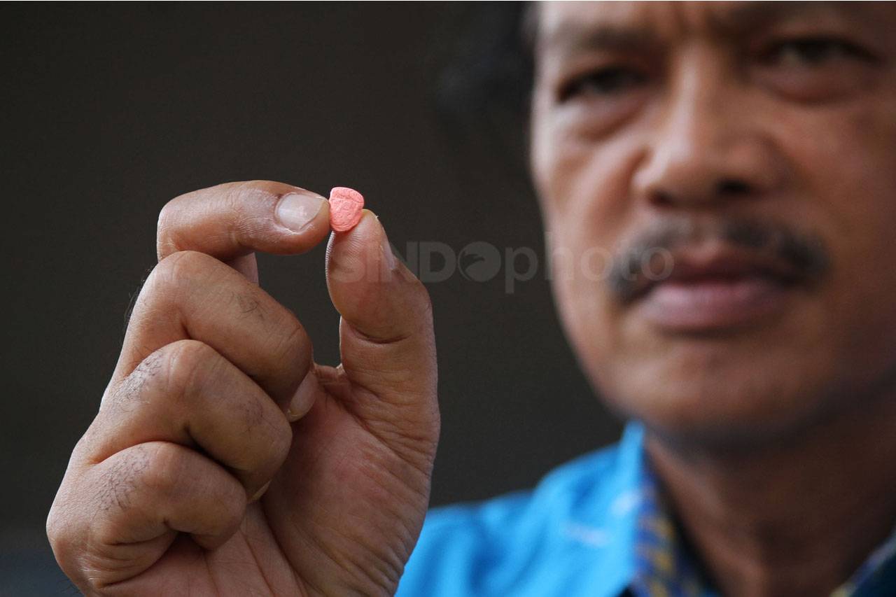 BNN Ungkap Peredaran...