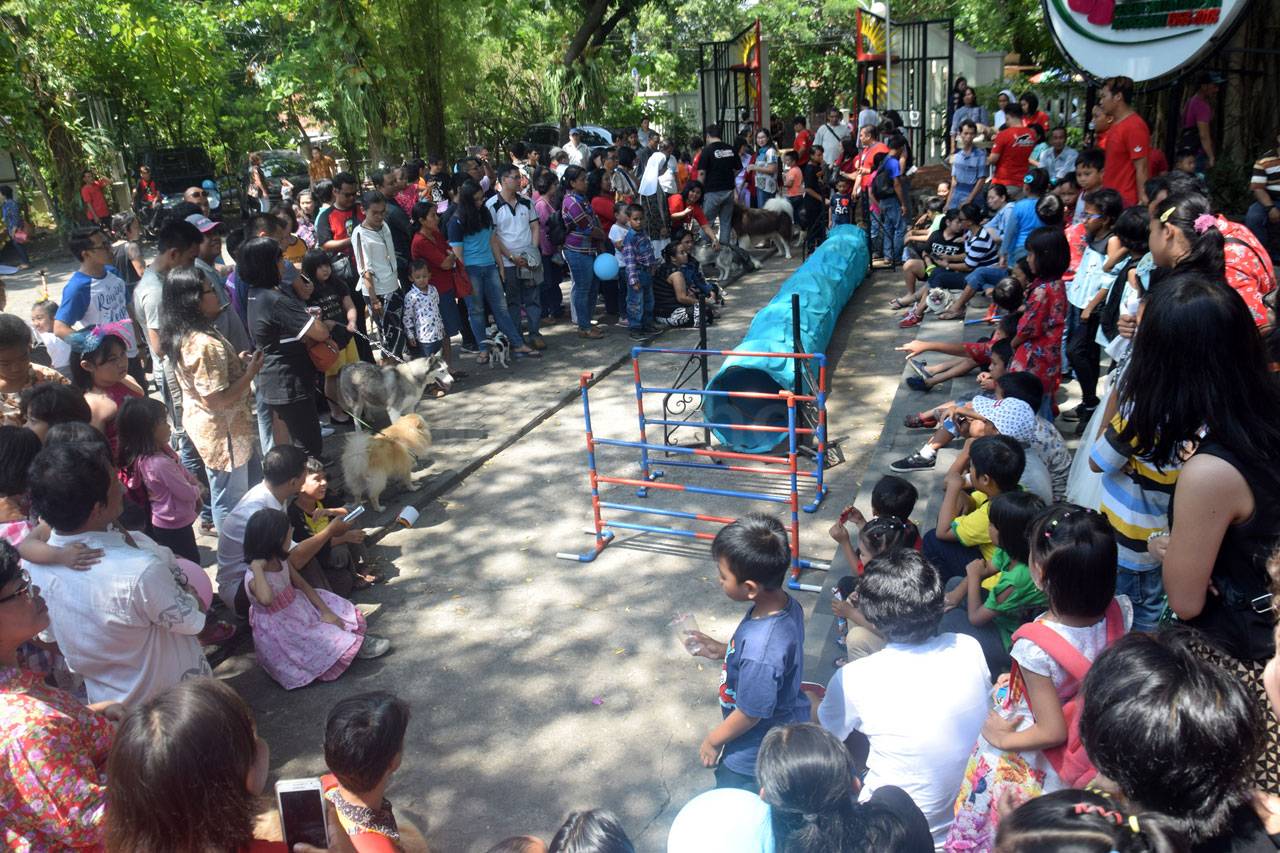 Pemberkatan Satwa di...