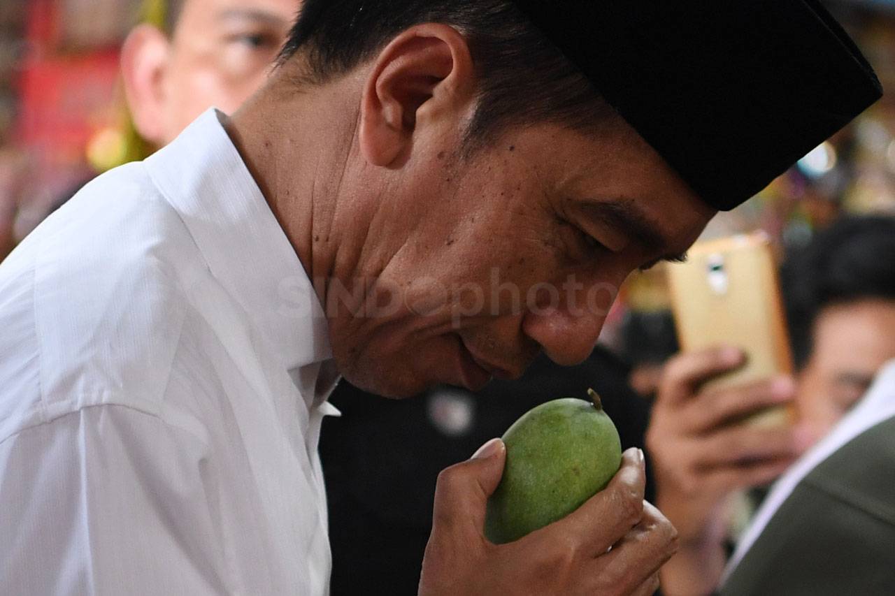 Presiden Jokowi Kunjungi...