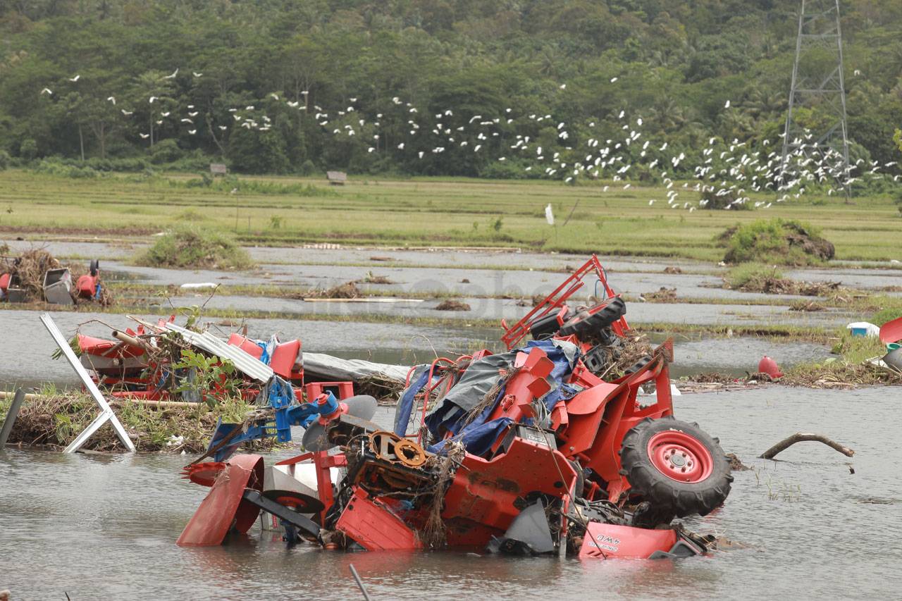 Hampir Sepekan Tsunami...