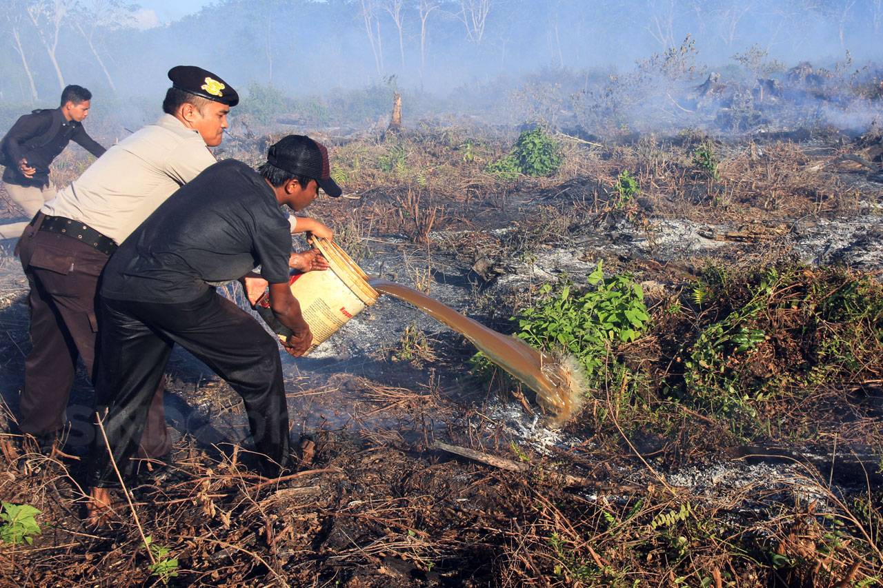 Hujan Tak Kunjung Tiba,...
