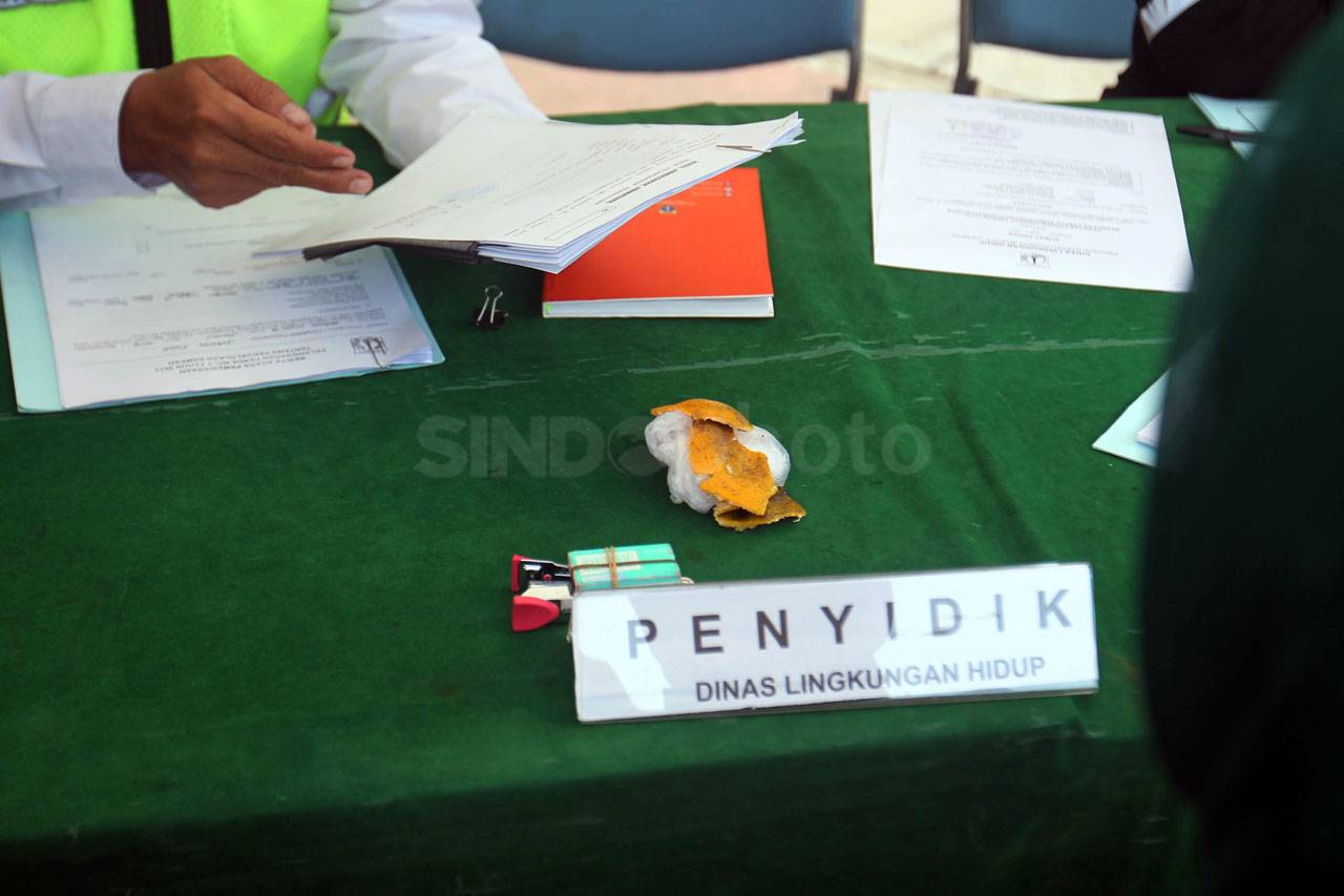 Dinas Lingkungan Hidup...
