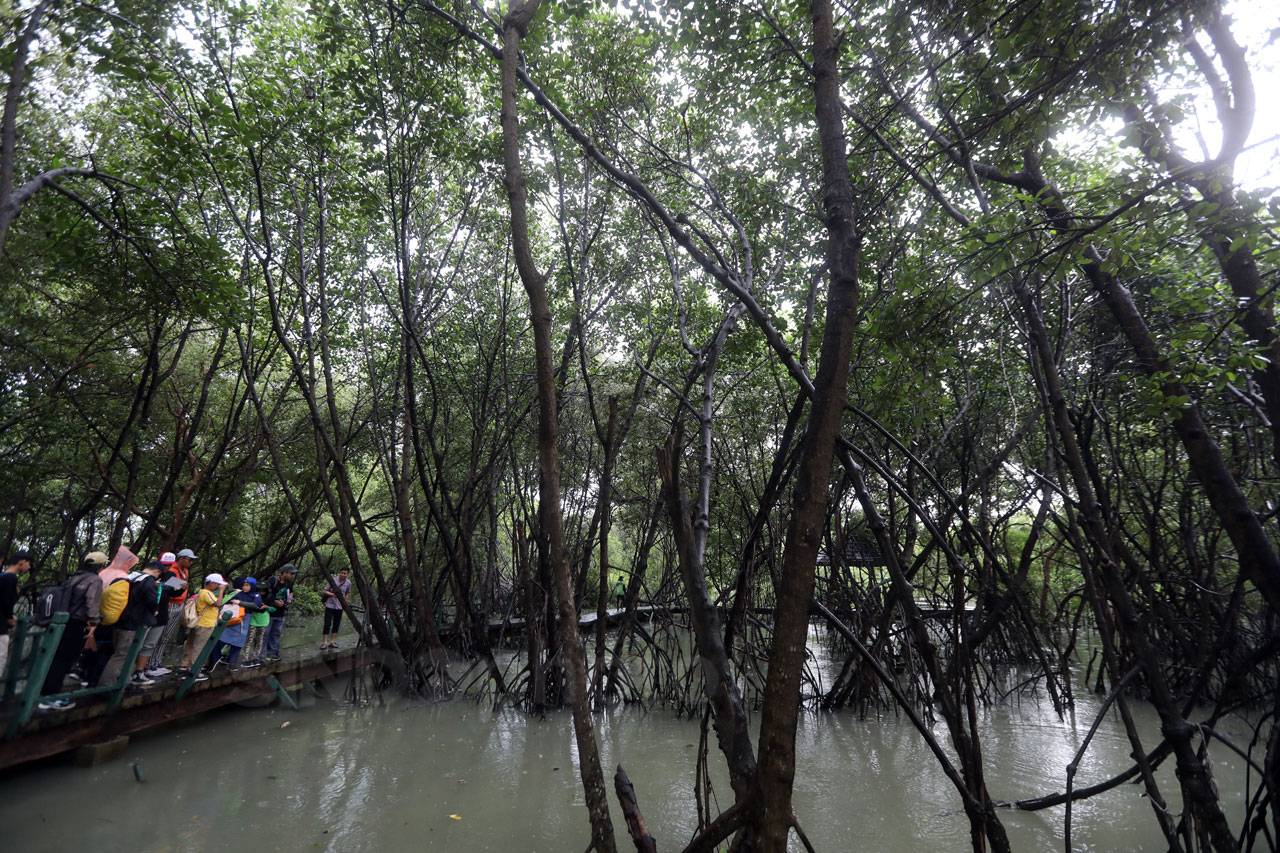Asian Waterbird Census...