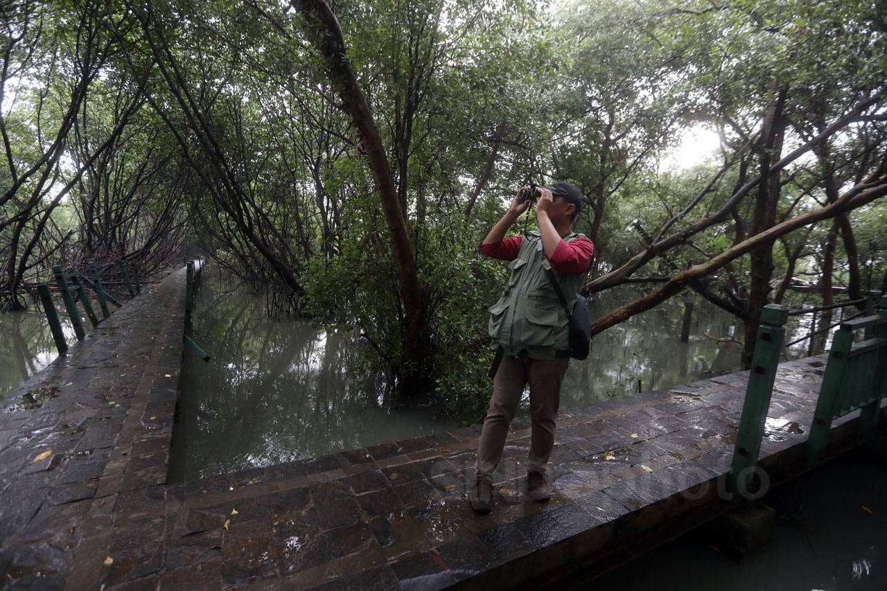 Asian Waterbird Census...