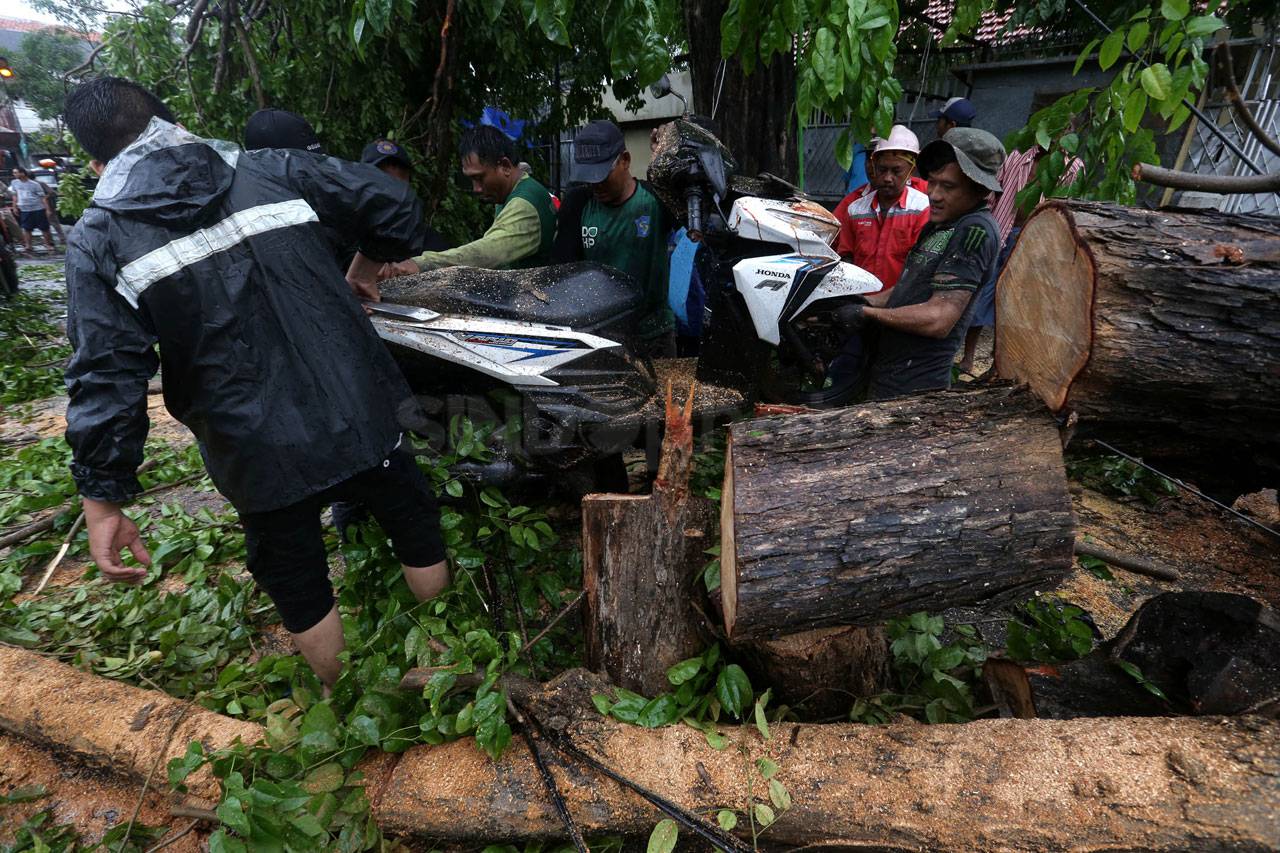 Hujan Lebat dan Angin...