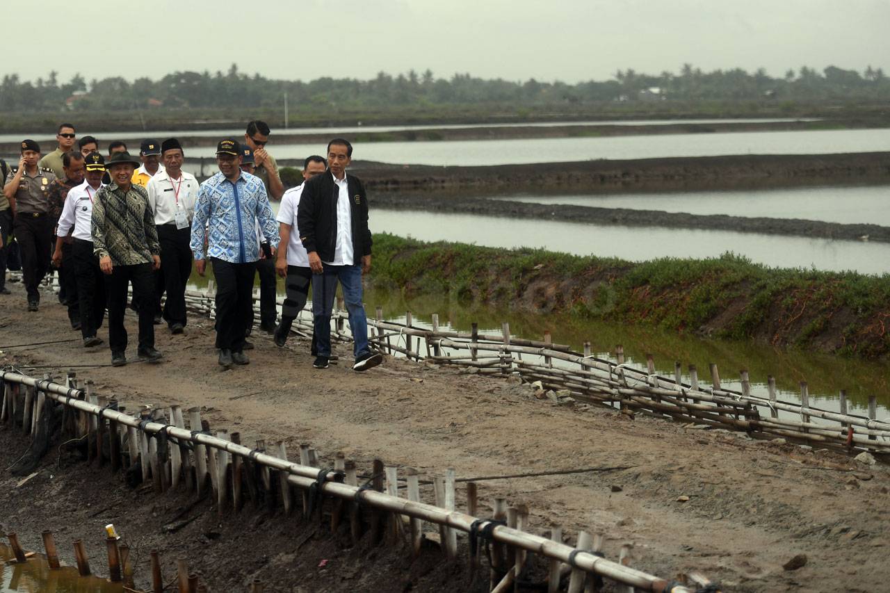 Presiden Jokowi Panen...