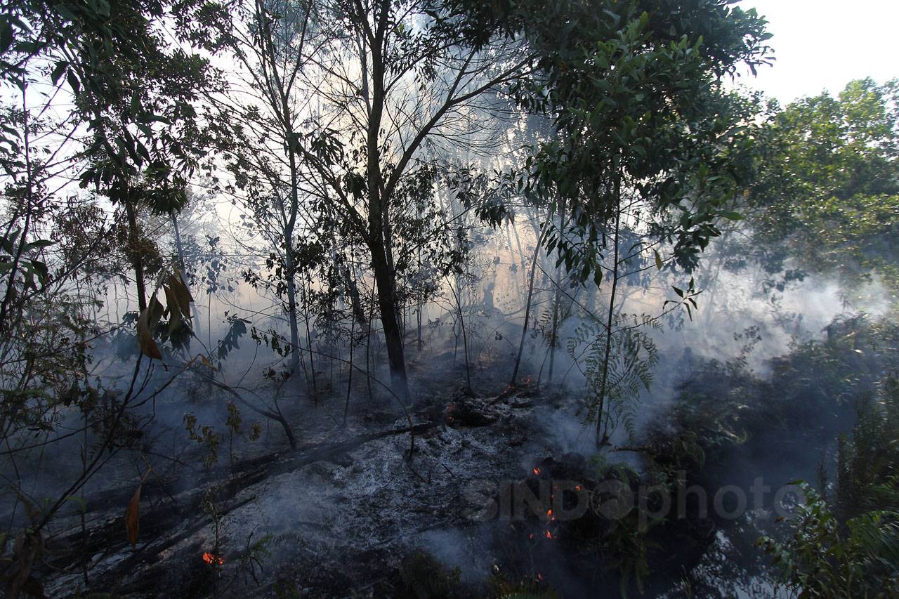 Kebakaran Landa Hutan...