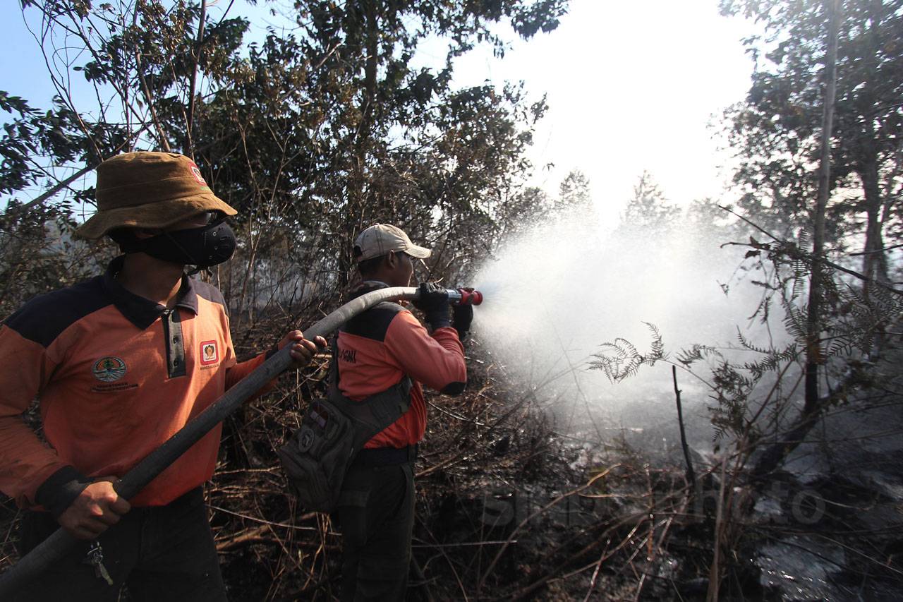 Kebakaran Landa Hutan...