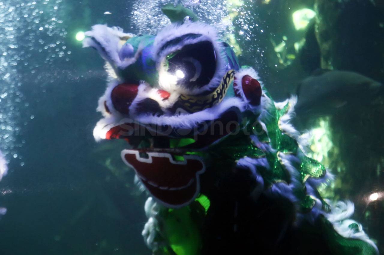 Pertunjukan Barongsai...