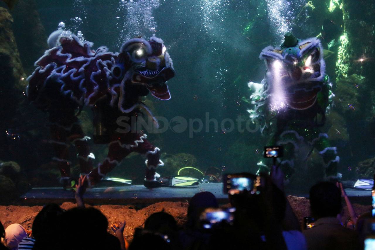 Pertunjukan Barongsai...