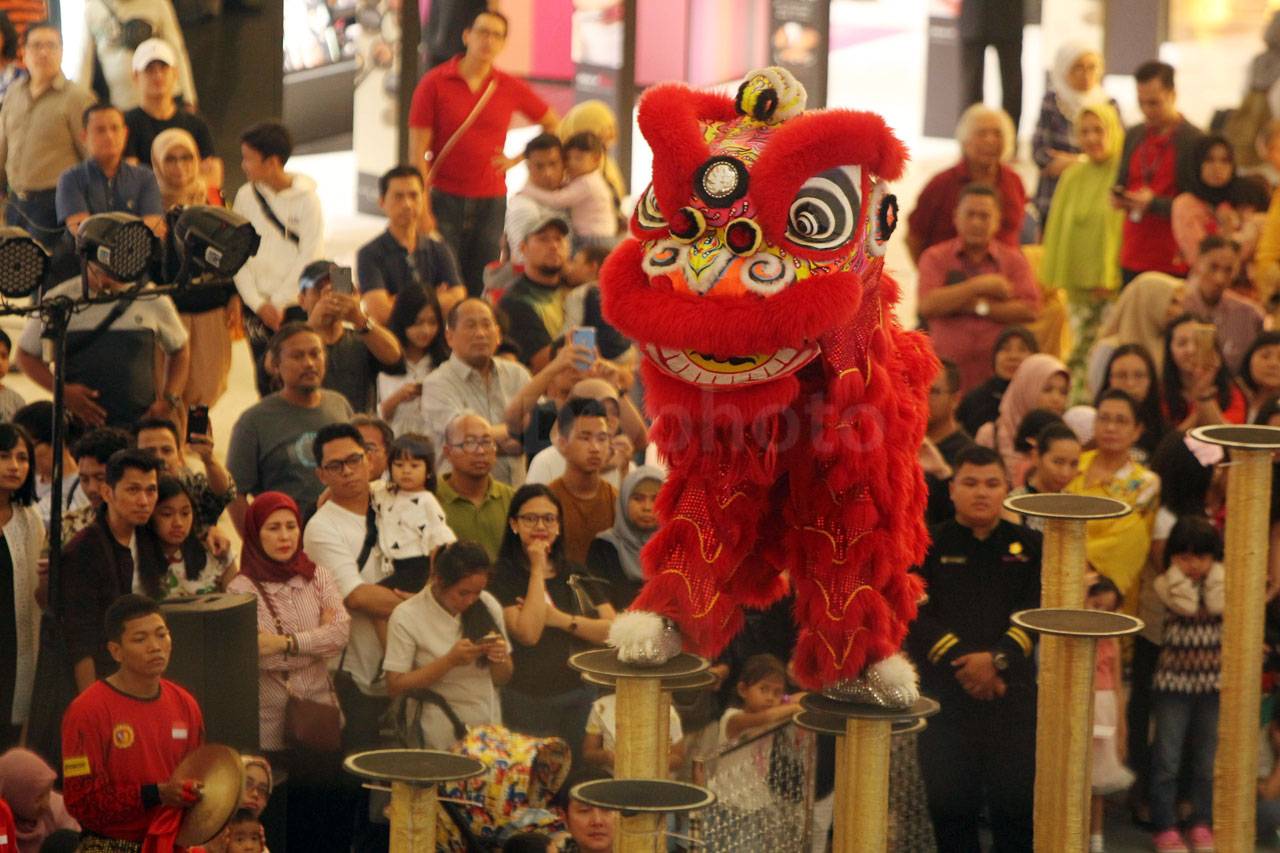 Aksi The King of Lion...