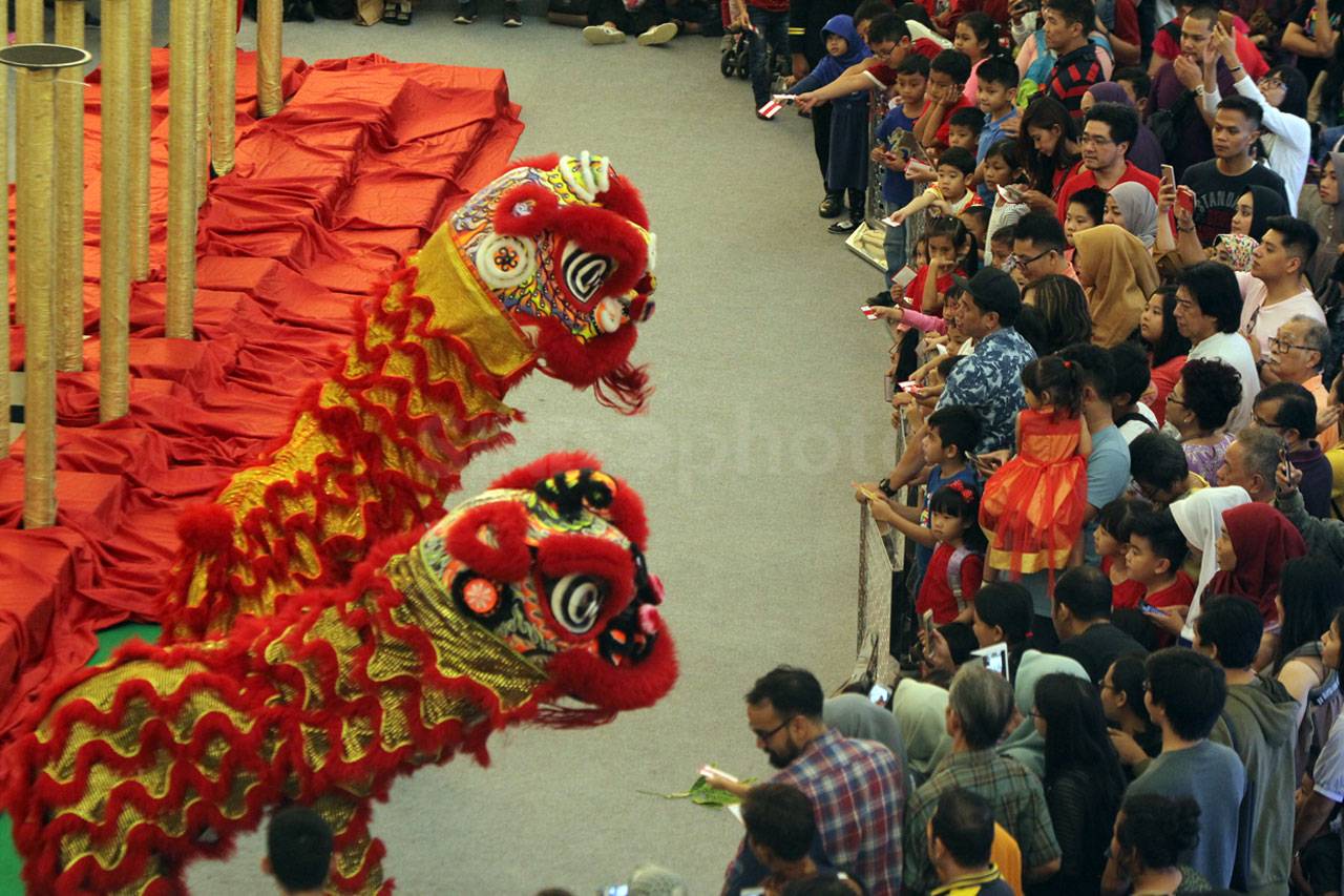 Aksi The King of Lion...