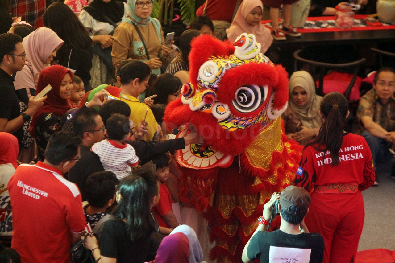 Aksi The King of Lion...