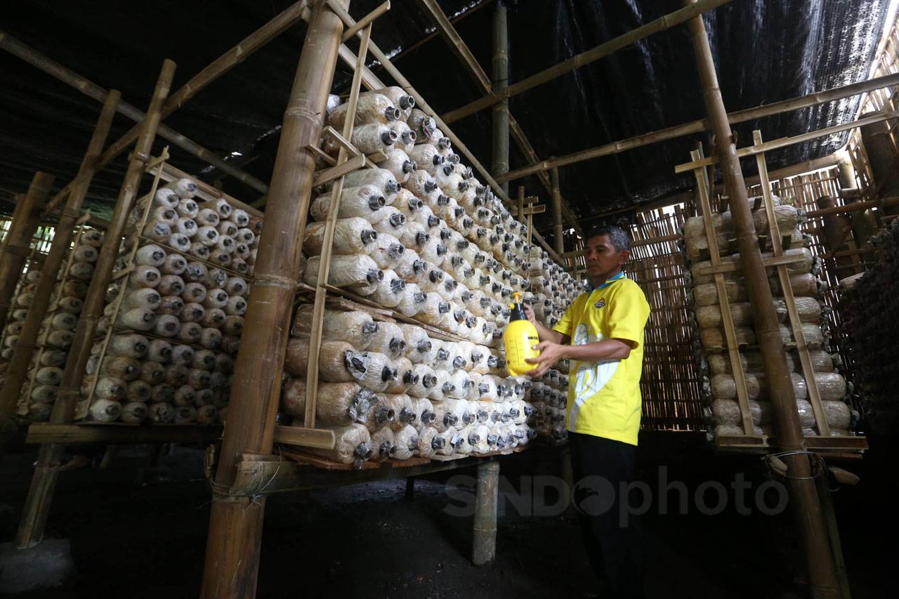 Campina Dukung Masyarakat...