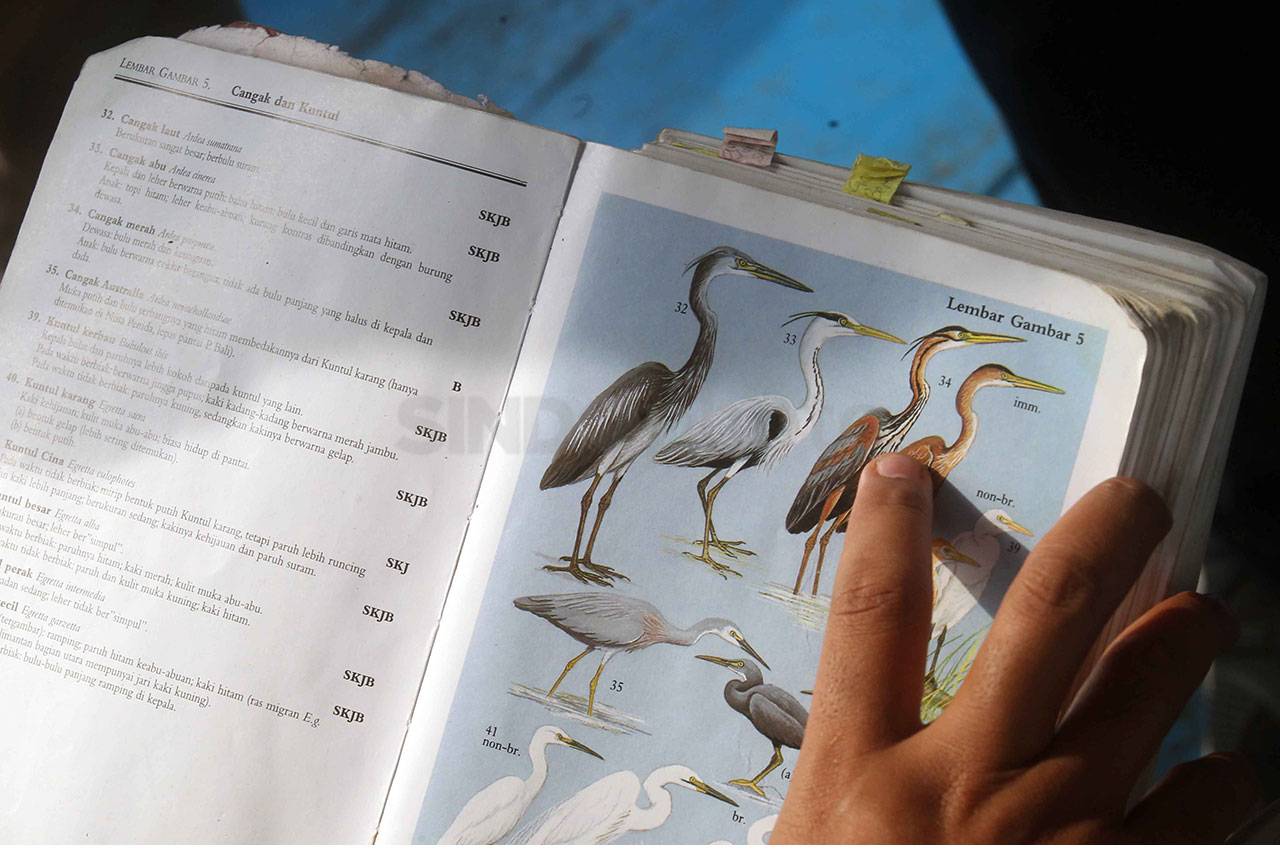Pengamatan Burung di...