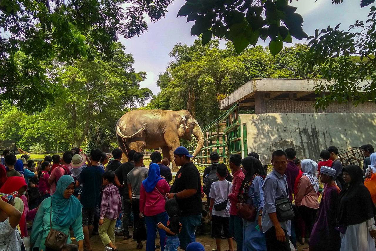 Pengunjung Padati Taman...