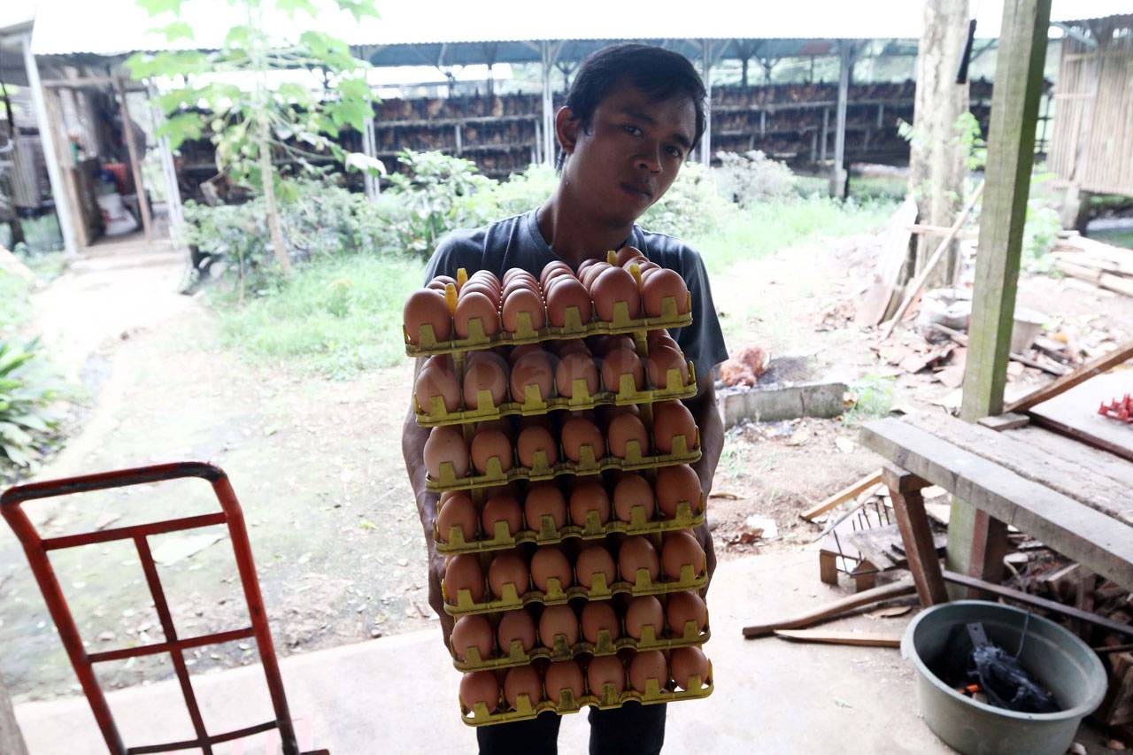 Sempat Naik di Bulan...