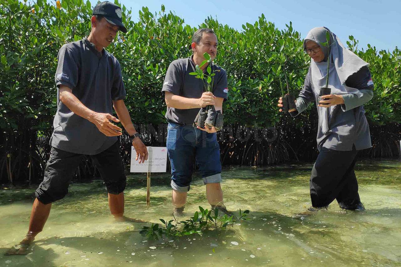 Festival Kampung Berseri...