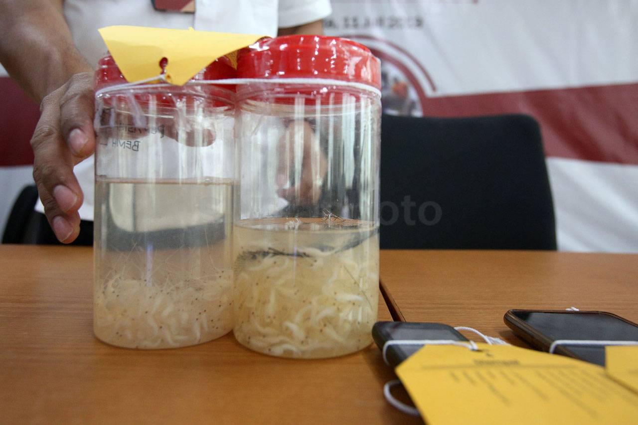 Polisi Gagalkan Penyelundupan...