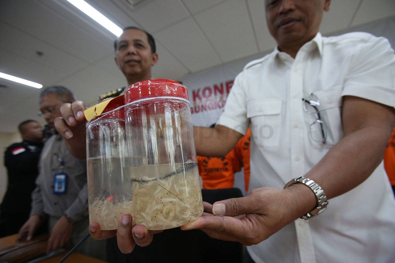 Polisi Gagalkan Penyelundupan...