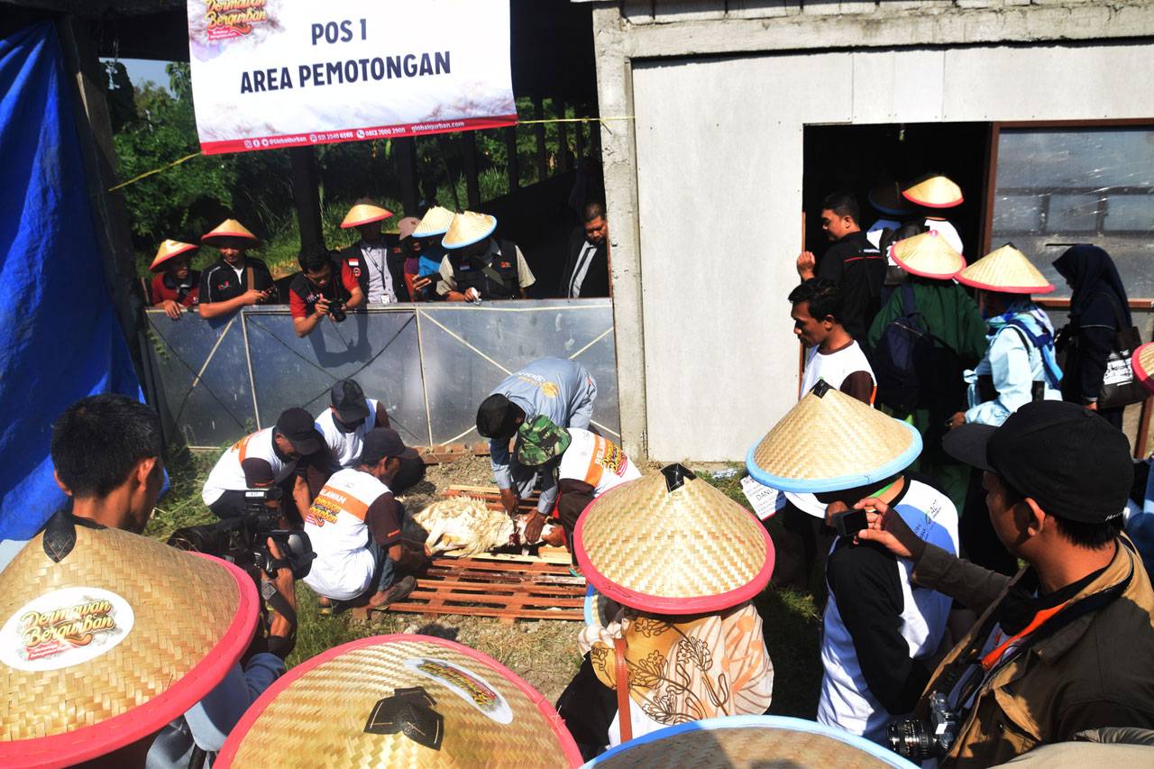 ACT Gelar Farm Tour...